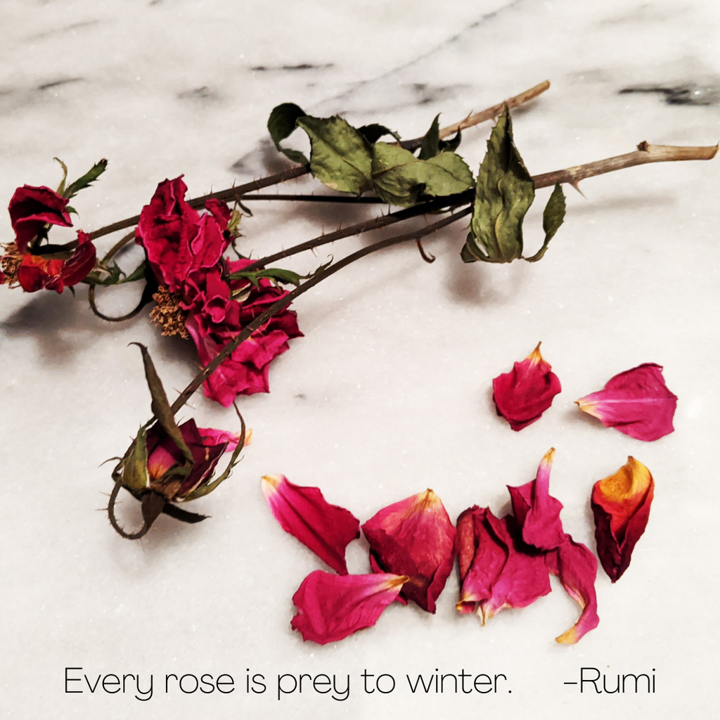 Every Rose...